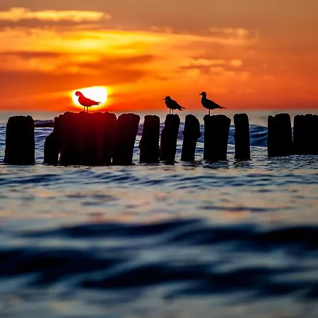 Апартаменты Whiteblue 40 Blizej Morza *