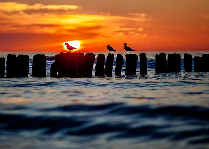 Apartmán Whiteblue 40 Blizej Morza *